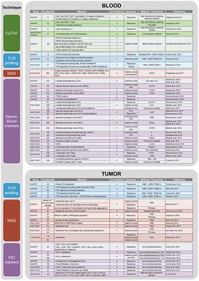 Melanoma Immunotherapy: Next-Generation Biomarkers